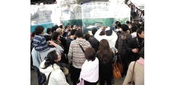 連日大人気の京都水族館
