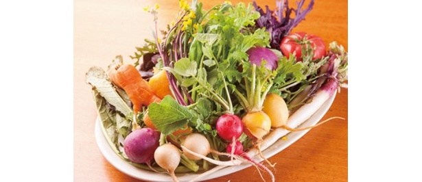 JAMMIN' Fujisawaが使用する湘南野菜