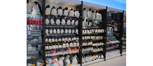 ショップにはペンギンの縫いぐるみがたくさん並ぶ