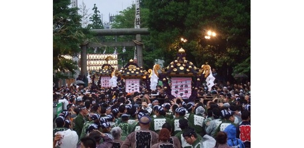 【写真を見る】3基の神輿が集結する迫力のシーンも！