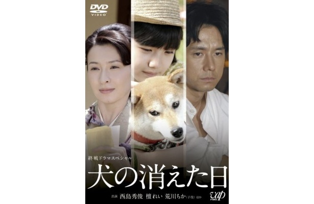西島秀俊＆檀れいのSPドラマ「犬の消えた日」のDVDがリリース