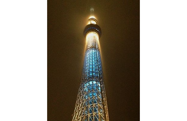 真下から見上げたスカイツリー。雲にライトが反射して、幻想的な美しさに