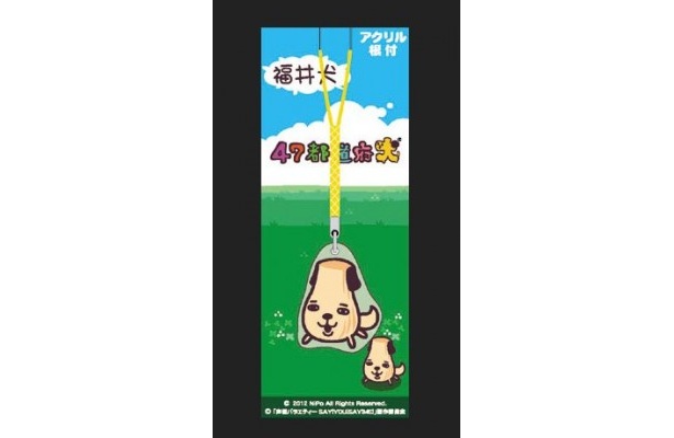 福井犬