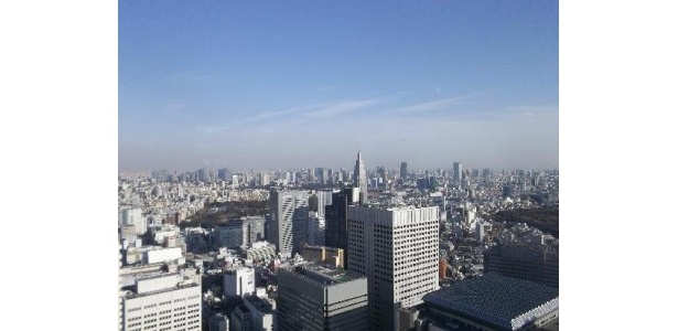 東京都庁舎からの景観