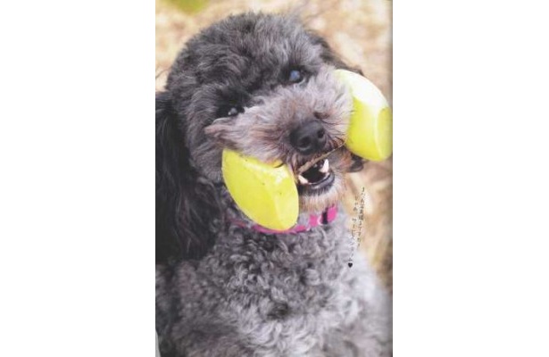 【写真を見る】キュートな表情が満載の写真はコチラ！
