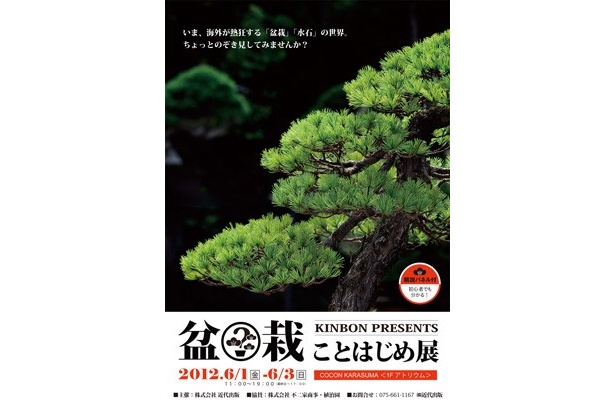 海外で大ブーム！「盆栽」「水石」の世界が楽しめるアート展「KINBON PRESENTS 盆栽ことはじめ展」6/1(金)～3(日)開催