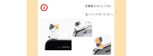高飛車なおじょうさま