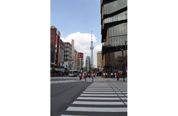 さまざまな角度からスカイツリーを見ることができる