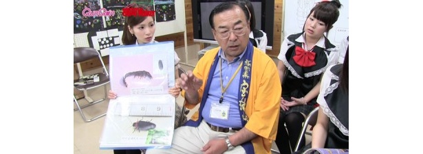 【写真を見る】伊藤さんにホタルについて質問するQunQunメンバー
