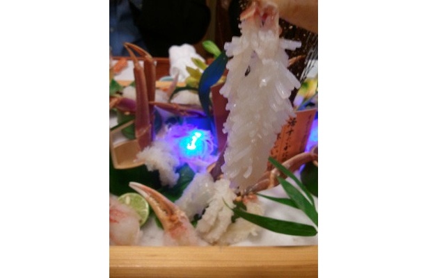 造りは鮮度が命。提供されたら早めにたべよう