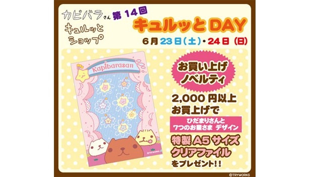 2000円以上買物をするともらえる、新デザインの「ひだまりさんと7つのお星さま」A5サイズクリアファイル。こちらのプレゼントもなくなり次第終了