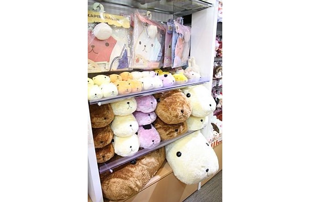 カピバラさんはのほほーんと展示中