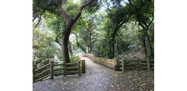 滝見橋