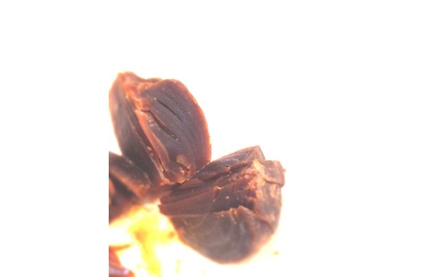 玉ねぎを漬け込んだ「玉ねぎの明石漬け」。ふつうの奈良漬けのように甘ったるくなく、適度に辛みがあるので、いいアテになるんですこれが。