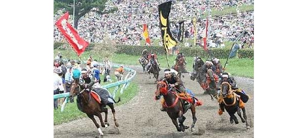 騎馬武者が風を切って疾走する「相馬野馬追」の甲冑競馬