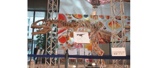 “凍ったトサカを持つトカゲ”を意味するクリオロフォサウルス