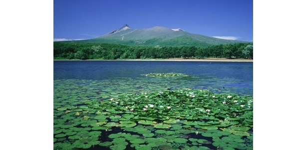 函館の大沼