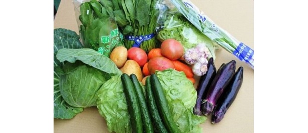 沖縄県産旬の野菜セット6種（831円）