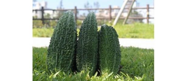 ビタミンCたっぷりの「沖縄県産　ゴーヤー500g」（480円）