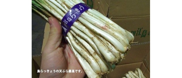 沖縄県でよく食べられている「沖縄県産　島らっきょう1kg」（1200円）