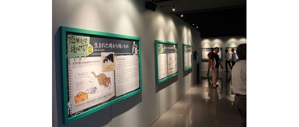 “恐怖”を科学的視点で解説したパネルや映像、アイテムを展示