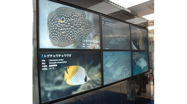 1Fでは展示紹介をしている