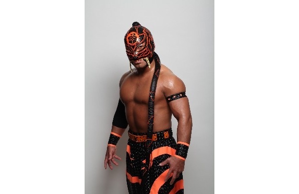 「沖縄プロレスチャンピオン」怪人・ハブ男選手