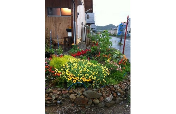 仮設住宅前に植えられた色とりどりの花々