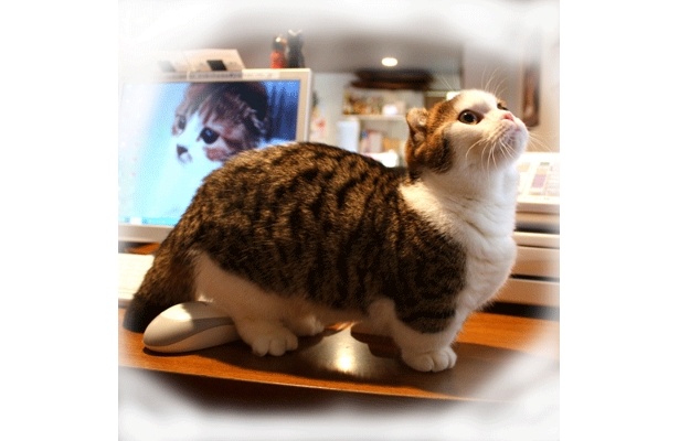 仕事には余念がありませんが…