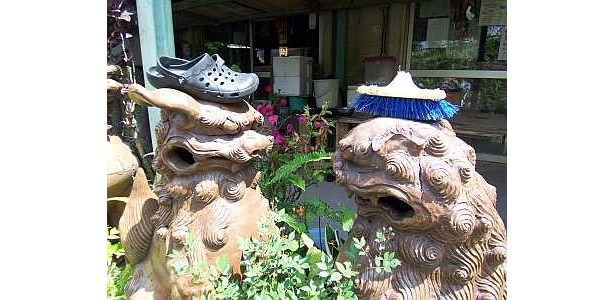 シーサーたち、何か乗ってるよ！