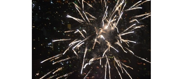 なかには「地上からとは一味違う感動が味わえて最高！」との声も