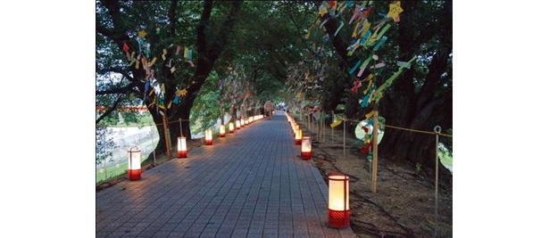 京の七夕協賛事業として、笹飾りと灯籠が彩る幻想的な祭りが開催される