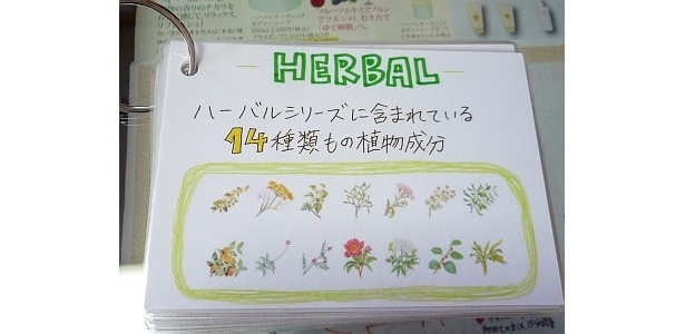 ハーブの成分を分かりやすく表示したお手製のカード