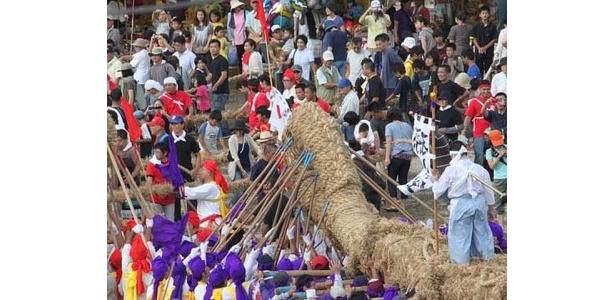 【写真を見る】一心不乱で綱を曳く、迫力ある祭りの詳細はこちらから！