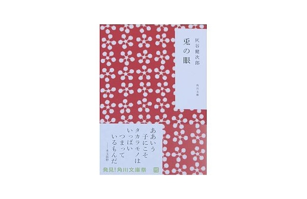 赤いカラーがかわいい。灰谷健次郎「兎の眼」