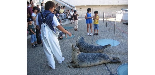 アザラシやセイウチのコミカルなパフォーマンスは必見！水族館部門3位の「大分マリーンパレス水族館 うみたまご」