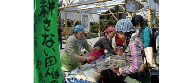 アースデイマーケットでは、都内の生産物だけでなく全国各地から旬の食材が集まる