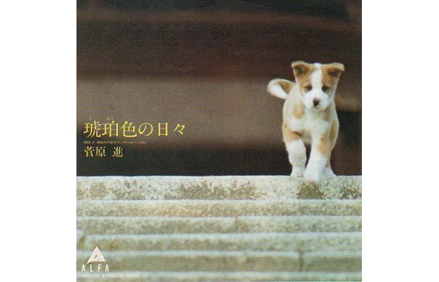 【WEB連載】田中稲の仮想DJ「昭和歌謡エンドレスリピート」3曲目「夕暮れソングに涙する」