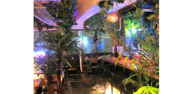 ジャングルをイメージしたユニークな店内の「Peace Rock Cafe」