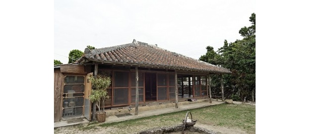 築83年の古民家食堂は、建物も料理も味のあるメニューを提供
