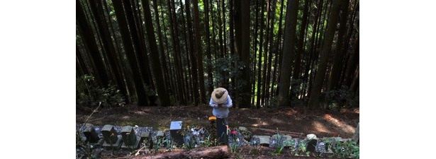 海外映画祭を沸かせた注目作が奈良に集結！　なら国際映画祭2012が開催
