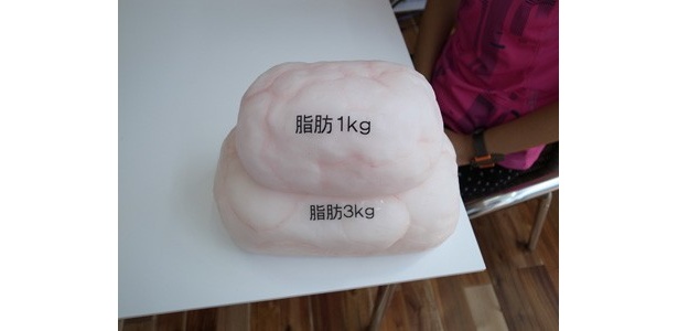 スタジオ内で発見したリアルな脂肪の塊。1kgでも本当重いです・・・