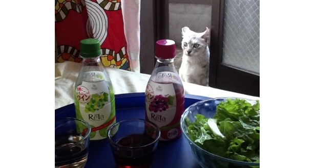 【写真を見る】家で飲むのも楽しい！リラックスタイムにもオススメ