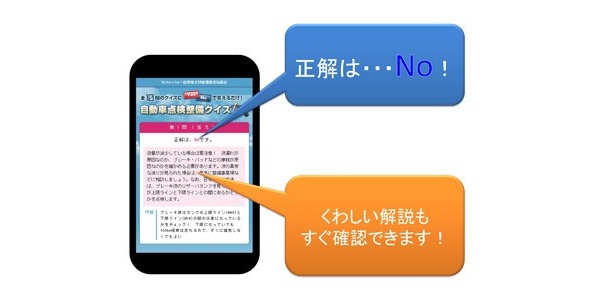 このようにYES・NOで選ぶだけの簡単なクイズが全10問。各問題の解答や採点結果もすぐにわかる