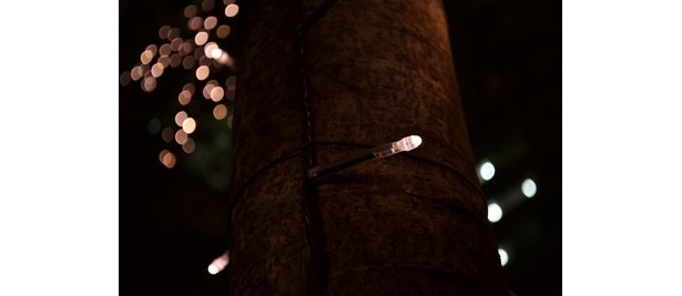 丸の内のイルミネーションは、LED電球が“長い”ことも特徴のひとつ