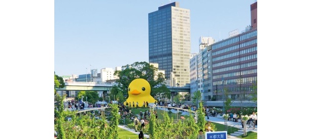 今年はご当地グルメなどが大集合！　ピクニック、バルイベント、巨大アヒルなど楽しい水辺イベント満載！10/13(土)～21(日)「水都大阪フェス2012」