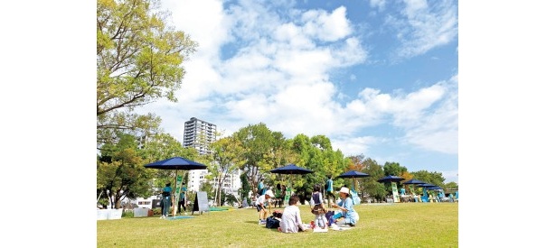昨年から実施している中之島公園での「ピクニック」。クラシック演奏を楽しめるものやハロウィンのキャラ弁が登場するピクニックなど多数のプログラムがある
