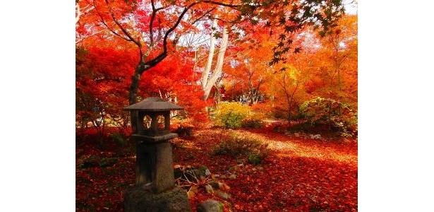 京都でも名所中の名所、嵐山は7位