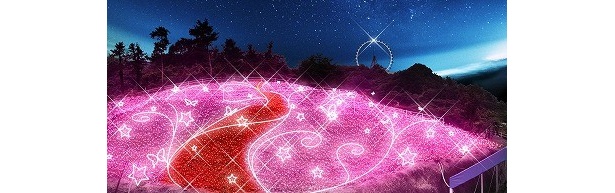 「光の花畑」は芝桜が満開に咲き誇っているようなピンク色の輝きに、白色の光で星が輝く
