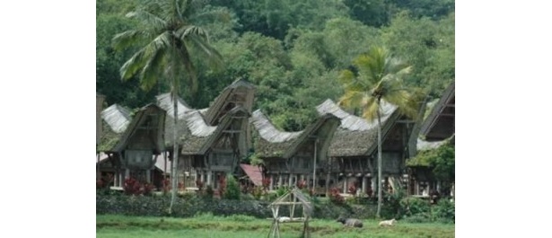 インドネシア・スラウェシ島のトラジャ族の間に残る家屋